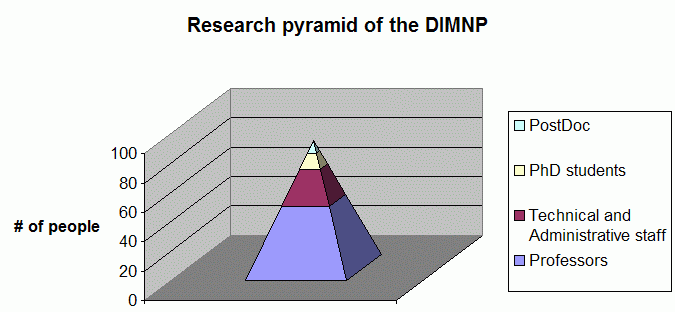 People in our department by rank