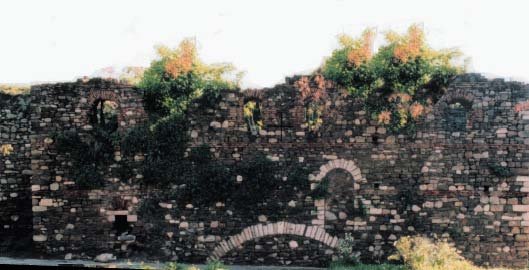 photo5.jpg