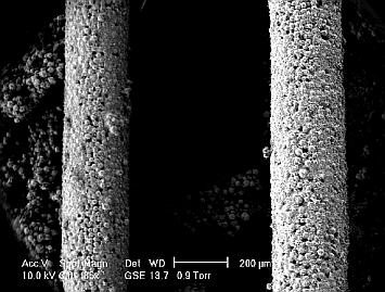 Primitive lines in Drop on Demand Three Dimensional Printing of Alumina powder (SEM micrograph)