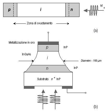 FigIV2a.gif - 4606 Bytes