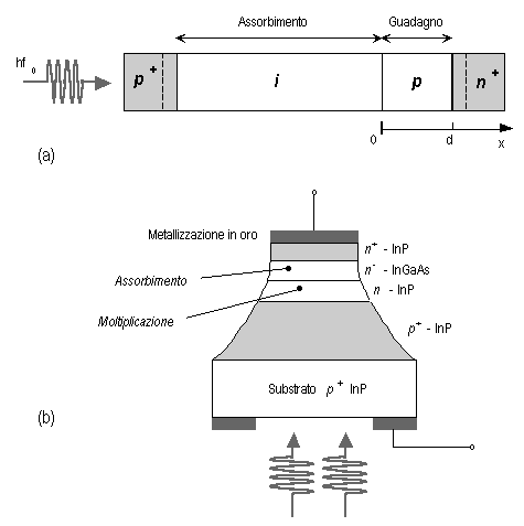 FigIV3.gif - 5304 Bytes