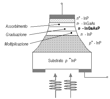FigIV4.gif - 4140 Bytes